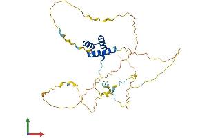 AlphaFold protein structure predicition of Human Recombinant HOXA4 Protein, UniprotID Q00056