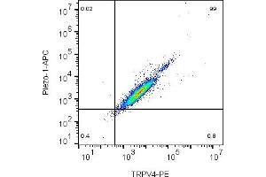 Cell surface multicolor flow cytometry analysis of live intact mouse J774 macrophage cells with TRPV4 and Piezo1:J774 cells were labeled with Anti-TRPV4 (extracellular)-PE Antibody (ABIN7582088), (5 μg) and with Anti-Piezo1 (extracellular)-APC Antibody (ABIN7582066), (5 μg).