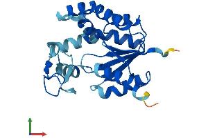 AlphaFold protein structure predicition of Human Recombinant AK4 Protein, UniprotID P27144