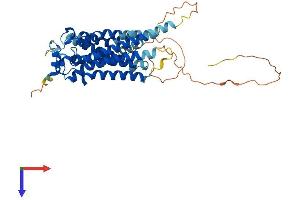 AlphaFold protein structure predicition of Human Recombinant S1PR5 Protein, UniprotID Q9H228