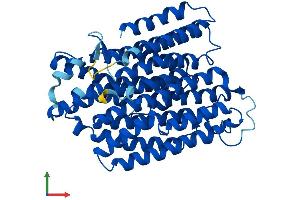 AlphaFold protein structure predicition of Human Recombinant MT-ND4 Protein, UniprotID P03905