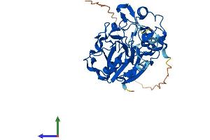 AlphaFold protein structure predicition of Human Recombinant MPPED1 Protein, UniprotID O15442