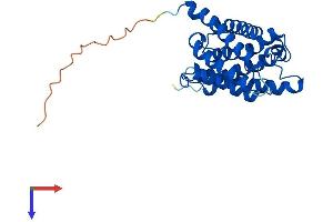 AlphaFold protein structure predicition of Human Recombinant AQP8 Protein, UniprotID O94778
