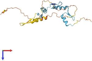 AlphaFold protein structure predicition of Human Recombinant ZNF740 Protein, UniprotID Q8NDX6