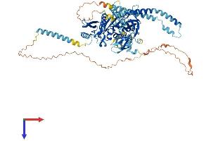 AlphaFold protein structure predicition of Mouse Recombinant Kif2c Protein, UniprotID Q922S8