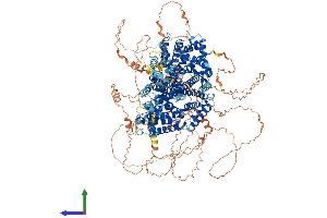 AlphaFold protein structure predicition of Mouse Recombinant Gapvd1 Protein, UniprotID Q6PAR5