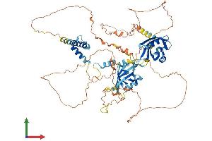 AlphaFold protein structure predicition of Mouse Recombinant Arnt2 Protein, UniprotID Q61324