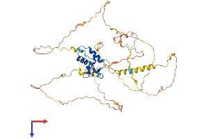 AlphaFold protein structure predicition of Human Recombinant FOXD3 Protein, UniprotID Q9UJU5