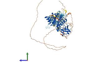 AlphaFold protein structure predicition of Mouse Recombinant Irak3 Protein, UniprotID Q8K4B2