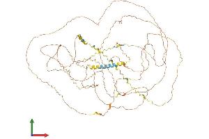 AlphaFold protein structure predicition of Human Recombinant FSCB Protein, UniprotID Q5H9T9