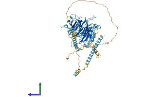 AlphaFold protein structure predicition of Human Recombinant DYNC1I1 Protein, UniprotID O14576