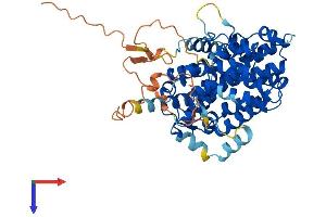 AlphaFold protein structure predicition of Mouse Recombinant Sesn3 Protein, UniprotID Q9CYP7