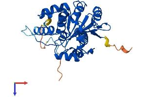AlphaFold protein structure predicition of Mouse Recombinant Cnot7 Protein, UniprotID Q60809