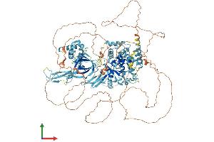 AlphaFold protein structure predicition of Human Recombinant MCM9 Protein, UniprotID Q9NXL9