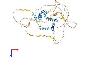 AlphaFold protein structure predicition of Mouse Recombinant Nufip1 Protein, UniprotID Q9QXX8