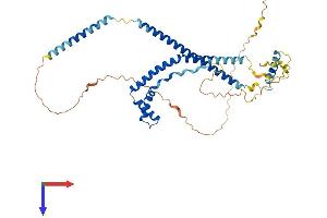 AlphaFold protein structure predicition of Human Recombinant SMARCE1 Protein, UniprotID Q969G3