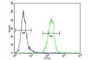 AKT1 antibody flow cytometric analysis of MDA-MB435 cells (green) compared to a negative control (blue).
