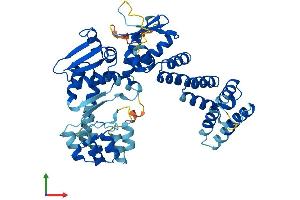 AlphaFold protein structure predicition of Human Recombinant ABTB1 Protein, UniprotID Q969K4