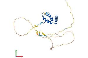 AlphaFold protein structure predicition of Human Recombinant SOX14 Protein, UniprotID O95416