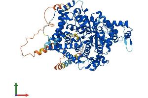 AlphaFold protein structure predicition of Mouse Recombinant Ampd1 Protein, UniprotID Q3V1D3