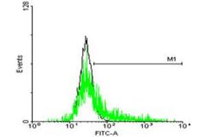 FACS analysis of negative control 293 cells (Black) and SSR1 expressing 293 cells (Green) using SSR1 purified MaxPab mouse polyclonal antibody. (SSR1 anticorps  (AA 1-286))