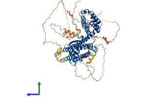 AlphaFold protein structure predicition of Mouse Recombinant Rfx2 Protein, UniprotID P48379