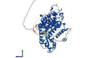 AlphaFold protein structure predicition of Human Recombinant GAD2 Protein, UniprotID Q05329
