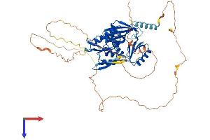 AlphaFold protein structure predicition of Human Recombinant SYN3 Protein, UniprotID O14994