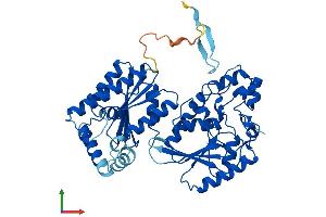 AlphaFold protein structure predicition of Mouse Recombinant Pfkfb4 Protein, UniprotID Q6DTY7