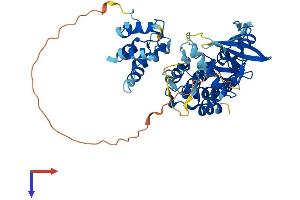 AlphaFold protein structure predicition of Mouse Recombinant Irak4 Protein, UniprotID Q8R4K2