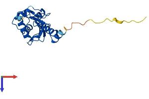 AlphaFold protein structure predicition of Human Recombinant UBE2H Protein, UniprotID P62256