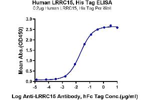 Immobilized Human LRRC15, His Tag at 2 μg/mL (100 μL/Well) on the plate.