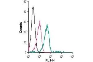 Cell surface detection of VPAC1 in live intact human THP-1 monocytic leukemia cells: (black line) Cells.