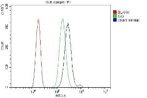 Flow Cytometry analysis of Neuro-2a cells using anti-mGluR1/GRM1 antibody (ABIN7600912).