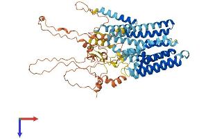AlphaFold protein structure predicition of Human Recombinant XKR6 Protein, UniprotID Q5GH73