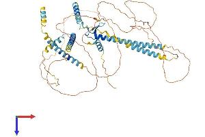 AlphaFold protein structure predicition of Human Recombinant GATAD2B Protein, UniprotID Q8WXI9