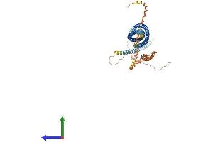 AlphaFold protein structure predicition of Mouse Recombinant Scara3 Protein, UniprotID Q8C850