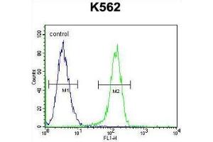 Flow Cytometry (FACS) image for anti-Myosin XIX (MYO19) antibody (ABIN2996064) (Myosin XIX anticorps)