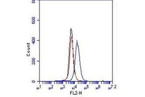 Flow Cytometry (FACS) image for anti-Cadherin 5 (CDH5) (Extracellular Domain) antibody (FITC) (ABIN1105885) (Cadherin 5 anticorps  (Extracellular Domain) (FITC))