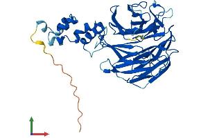AlphaFold protein structure predicition of Mouse Recombinant Fbxw4 Protein, UniprotID Q9JMJ2