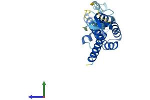 AlphaFold protein structure predicition of Mouse Recombinant Commd3 Protein, UniprotID Q63829