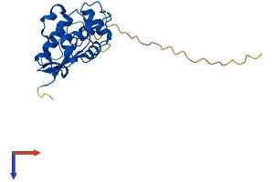 AlphaFold protein structure predicition of Human Recombinant MGMT Protein, UniprotID P16455