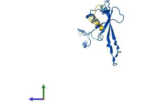 AlphaFold protein structure predicition of Mouse Recombinant Mrpl23 Protein, UniprotID O35972