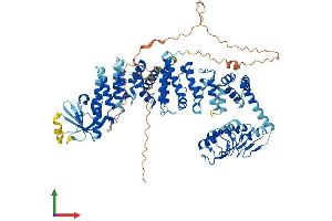 AlphaFold protein structure predicition of Mouse Recombinant Cmip Protein, UniprotID Q9D486