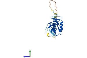 AlphaFold protein structure predicition of Mouse Recombinant Klrd1 Protein, UniprotID O54707