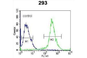 Flow Cytometry (FACS) image for anti-Dual Specificity Phosphatase 6 (DUSP6) antibody (ABIN3003763)