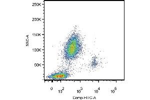 Surface staining of human peripheral blood leukocytes using anti-human CD14