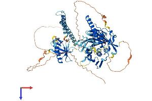 AlphaFold protein structure predicition of Human Recombinant OSBPL11 Protein, UniprotID Q9BXB4