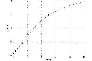 A typical standard curve