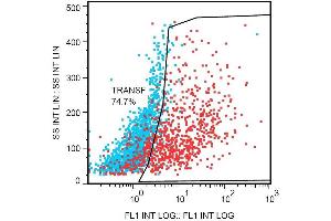 Flow cytometry detection of DDIT4L in DDIT4L-transfected Hek293 cells using the mouse monoclonal antibody DDIT-03 PE.